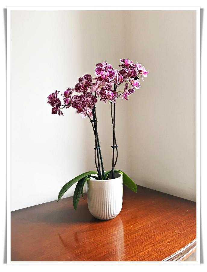Spacious And Modern 2 Bedroom Flat Near The City Centre 에든버러 외부 사진